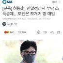 한동훈, 연말정산서 부당 소득공제…모친은 쪼개기 땅 매입(2022년 기사) 이미지