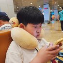 나트랑 공항 식당 면세점 주류 가격 흡연실 있음