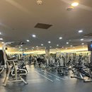 수정 이미지