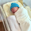 자연주의 조산원 | 둘째 둔위 자연주의 출산 후기(호움산부인과/마마스조산원)