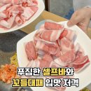 띵동제주 이미지