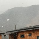 배꼽노리