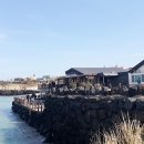 제주 호박 민박 이미지
