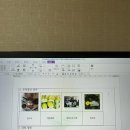 가족사랑 영농조합법인 이미지