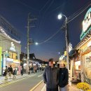 DOG채 애견스테이 | 1박2일 경주황리단길 애견동반 가족여행🍁(feat.독채스테이)