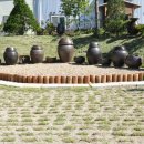 푸르름의 농원 이미지