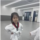 고려태권도 이미지