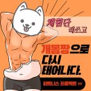 오마이멍멍 이미지