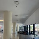 세븐일레븐 논산건양대원룸점 | 부여 여행 롯데 리조트 후기🛏️