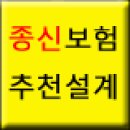 일반사무직 여자 30대 기혼자 입니다. 종신보험 감액,치아파절 골절비 문의 합니다. 이미지