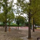 영덕레스피아 농구장 이미지