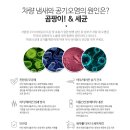 블로우파인