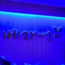 노연스테이 이미지