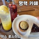 평택농협비전사업소 | 평택역 근처 신상카페 [이스 로스터스] 내돈내산 후기(+주차,두바이타르트)