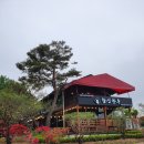 참신한우정육식당 이미지