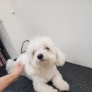 바다미용실 이미지