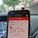 금일프라자 | [일산 장발산역 포폴리피자] 정통 나폴리 화덕피자 맛집 솔직 후기