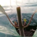 금원농장 이미지