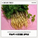 매일인삼 | 새싹삼 선물로 준비한 무농약 수경재배 새싹인삼 100뿌리 후기