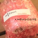 엠아이그래픽