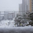 진안-진안-비상-17 이미지