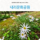 내리1길 이미지