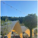 평화로길 이미지