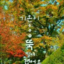 고은님 이미지