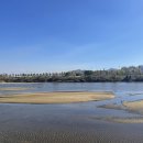 아산곡교천야영장 이미지