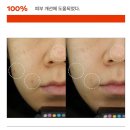 피셀바이오 | 피부 장벽을 지키는 한 방울, 퍼셀 픽셀바이옴 원액 리뷰