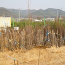 양구군산림조합 이미지