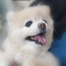 연지동물병원 이미지