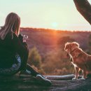 위풍댕댕 이미지