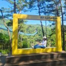 소금산매점 | 강원도 원주 가볼만한곳 소금산 출렁다리 울렁다리 그랜드밸리 코스 총정리