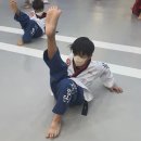 청도 경희대 태권도장 이미지