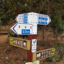 천관산도립공원관리사무소 | [056] 한반도 100대 명산을 오르다! - 천관산