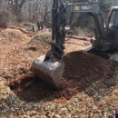 [충남] 예산묘이장 묘지관리 산소관리 벌초대행 납골당 장례상담 금오상조 토탈서비스
