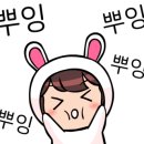 블루버드(Blue bird) 이미지