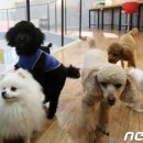 호텔가자인천공항 네이버블로그