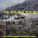 가평노팅힐계곡애견펜션 | 가평 계곡 애견 동반 펜션 가평 노팅힐 계곡애견펜션 주차 편리, 가격 부담 적음