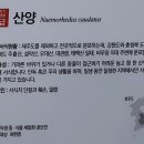 달성습지 생태 학습관 이미지