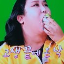 덩치제육 이미지