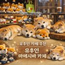 5763 | 유후인 카페 추천: 유후인 마메시바 카페 후기 (입장료·이용방법 정리)