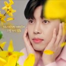 🍀연두🌿 이미지