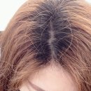 박찬헤어 이미지