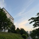 2025년 5월 일기(2/2)
