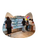 헬로밀 이미지