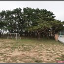 덕적면사무소 이미지