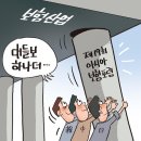 1129 한국보험신문