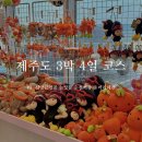 중문회전교차로 ↔ 제주돌하르방밀면앞교차로 | 파워제이가 말아주는 제주도 서귀포 맛집 놀거리 : 순살갈치조림 순천미향 제주스런 논짓물 바이제주